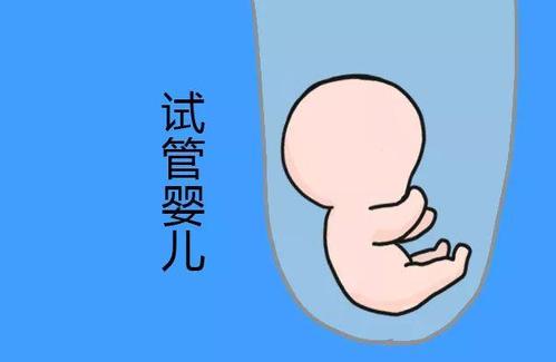 关于借卵代怀代生